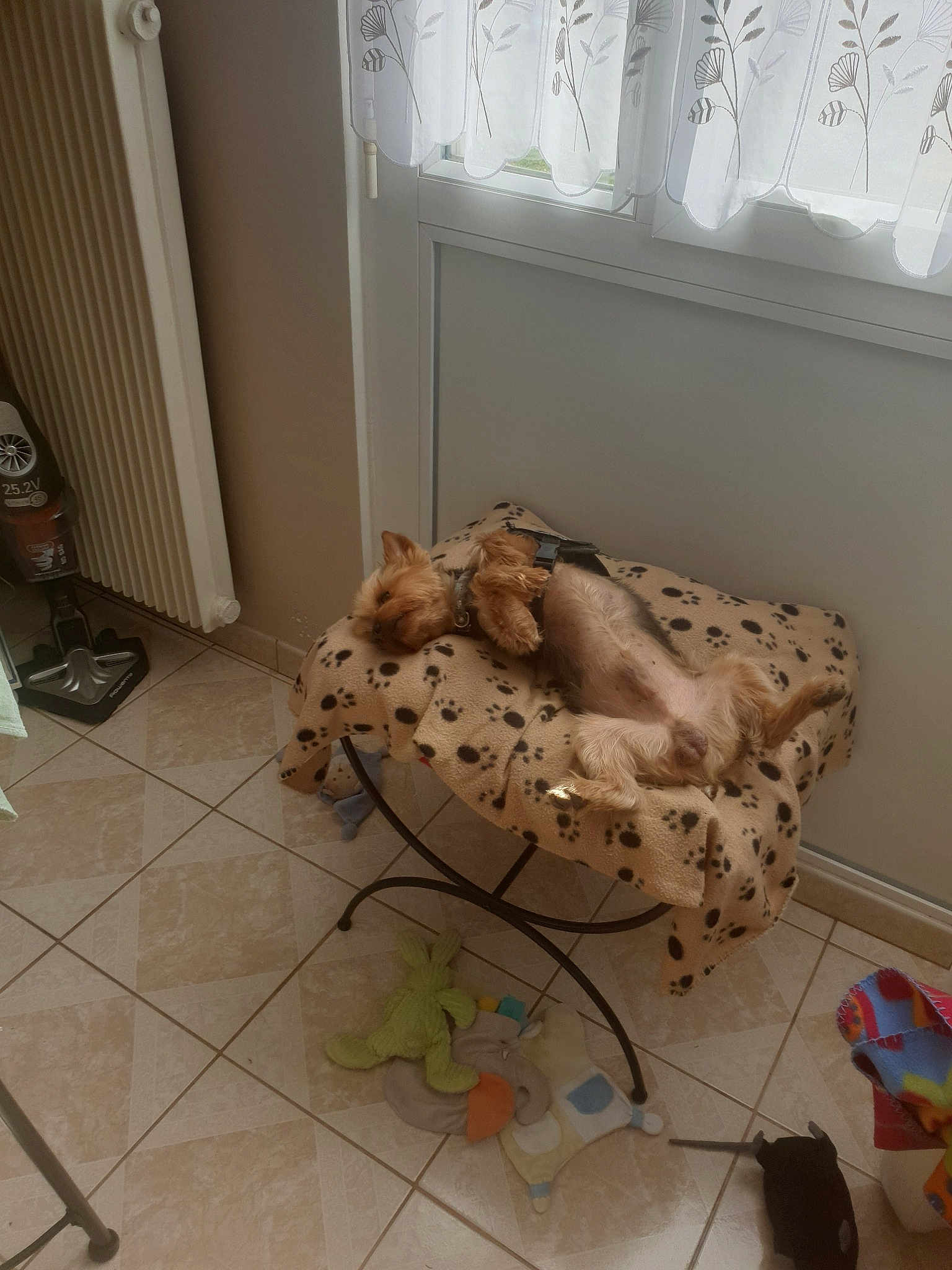 Doudou
