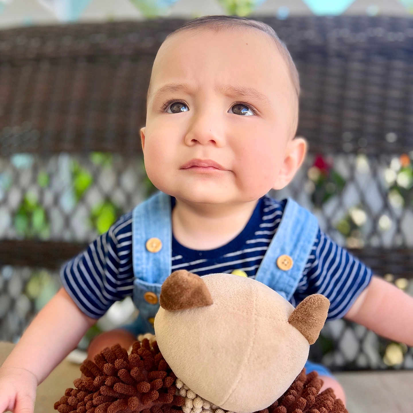 Angel is registered to the contest to win money with this photo: baby, child, toddler, portrait, face, serious, sitting, plush_toy, stuffed_animal, sheep_toy, overalls, striped_shirt, blue_clothing, outdoor, fence, greenery, close_up, headshot, toy, infant