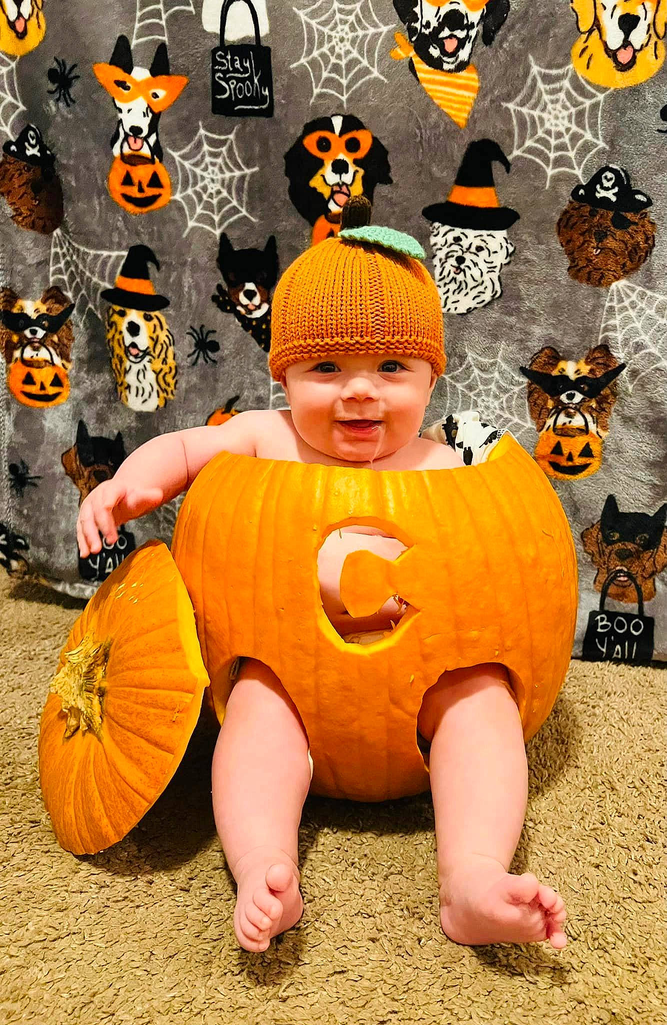 Colby is registered to the contest to win money with this photo: art, baby_toddler_clothing, calabaza, cucurbita, fun, gourd, happy, headwear, jack_o_lantern, joy, mammal, orange, people_in_nature, person, plant, pumpkin, smile, squash, toddler, trick_or_treat