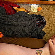 Beignet is registered to the contest to win money with this photo: dog, blanket, sleeping, carpet, toy, stuffed_animal, leg, tattoo, indoor, cozy, resting, brown, orange, red, black, fur, animal, paw, relaxing, home