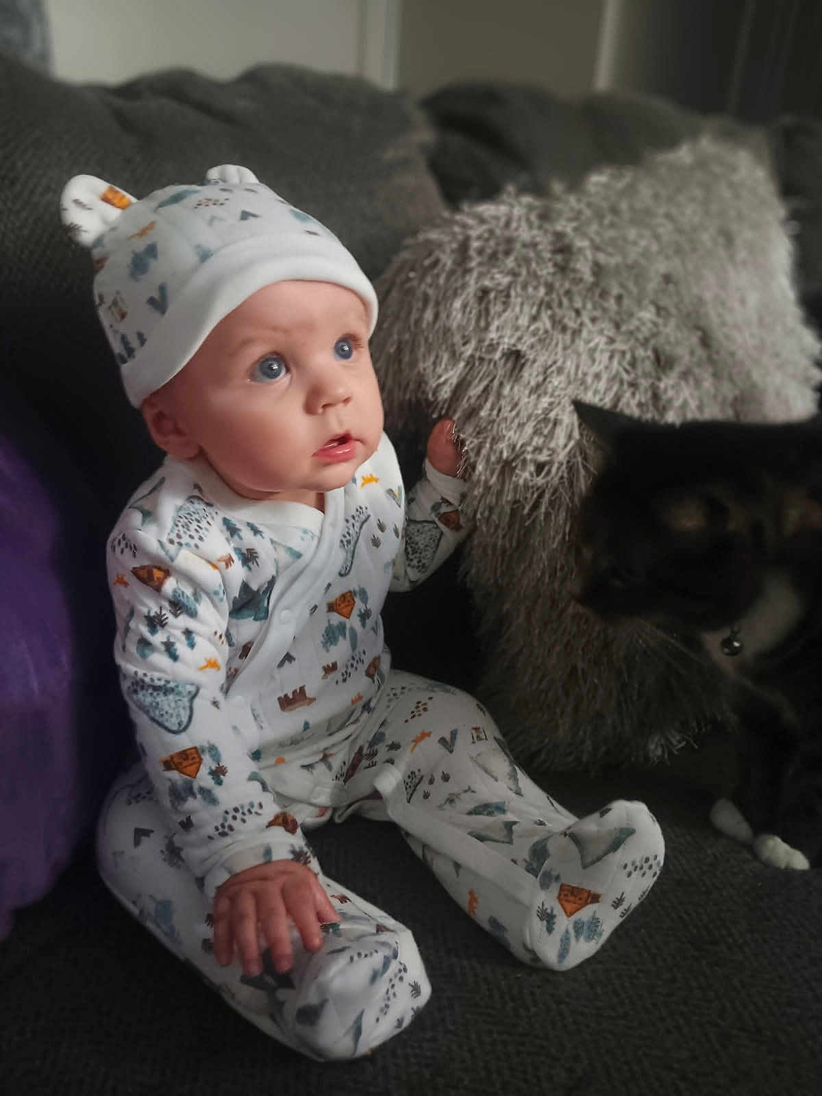 Jordan is registered to the contest to win money with this photo: baby, infant, child, onesie, hat, couch, pillow, cat, pet, indoor, furniture, cute, curious, sitting, soft, cozy, patterned_clothing, wide_eyes, portrait, home