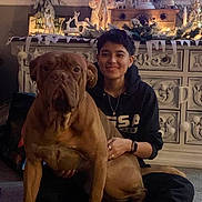 Sir Duke is registered to the contest to win money with this photo: brown_dog, cabinet, carpet, casual_clothing, cozy, decor, dog, festive, furniture, holiday_decorations, home, indoor, person, pet, portrait, santa_figurine, short_hair, sitting, smiling, string_lights
