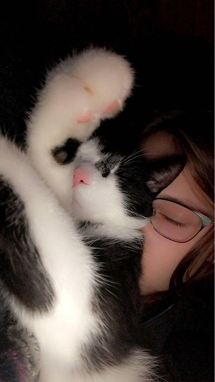 Dewey is registered to the contest to win money with this photo: carnivore, cat, claw, eyelash, eyewear, felidae, foot, fur, gesture, grass, leg, nail, nose, paw, photo_caption, plant, small_to_medium_sized_cats, sunglasses, terrestrial_animal, whiskers