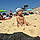 Liam