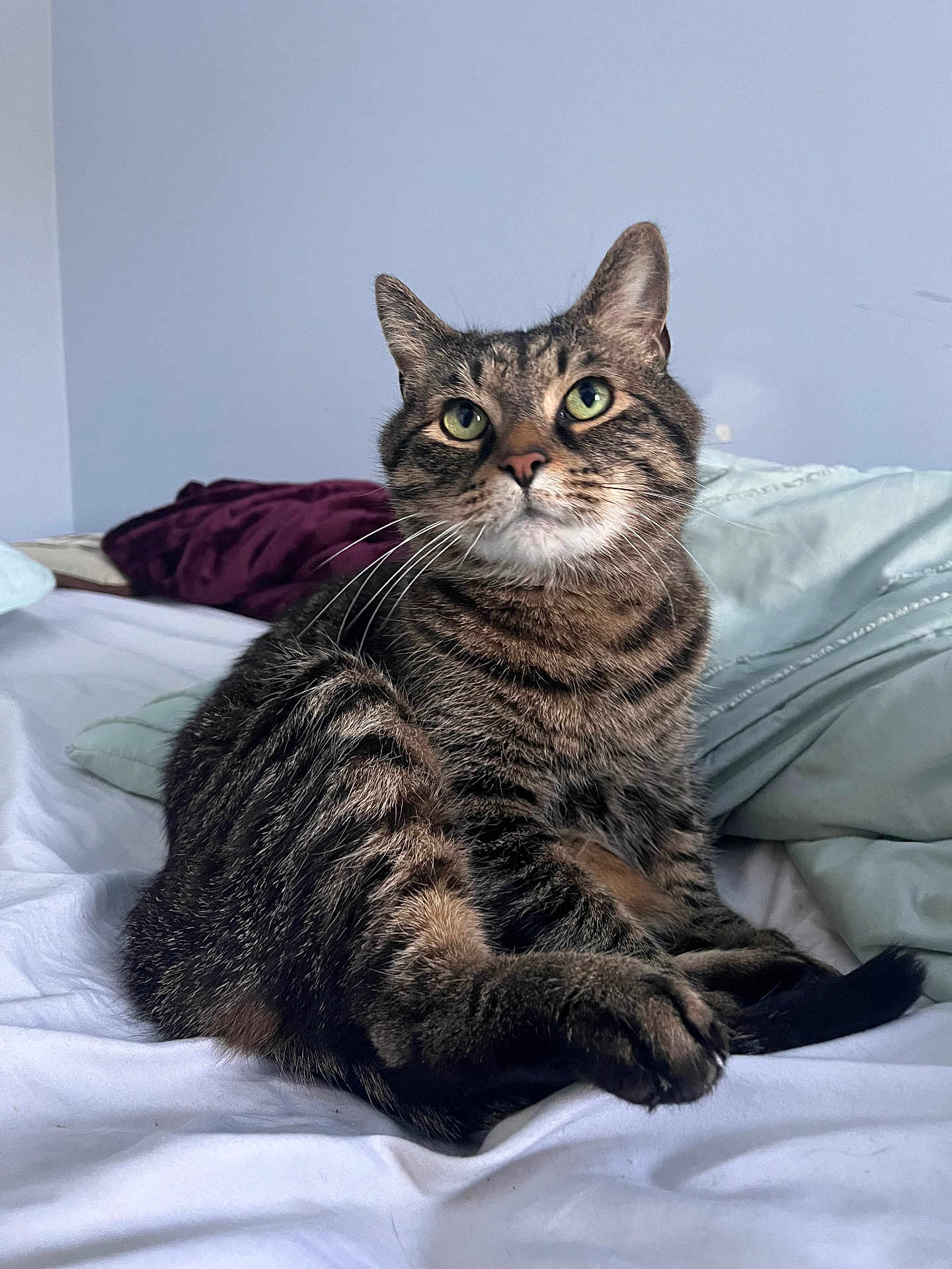 Bernie