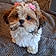 Lilly Mae