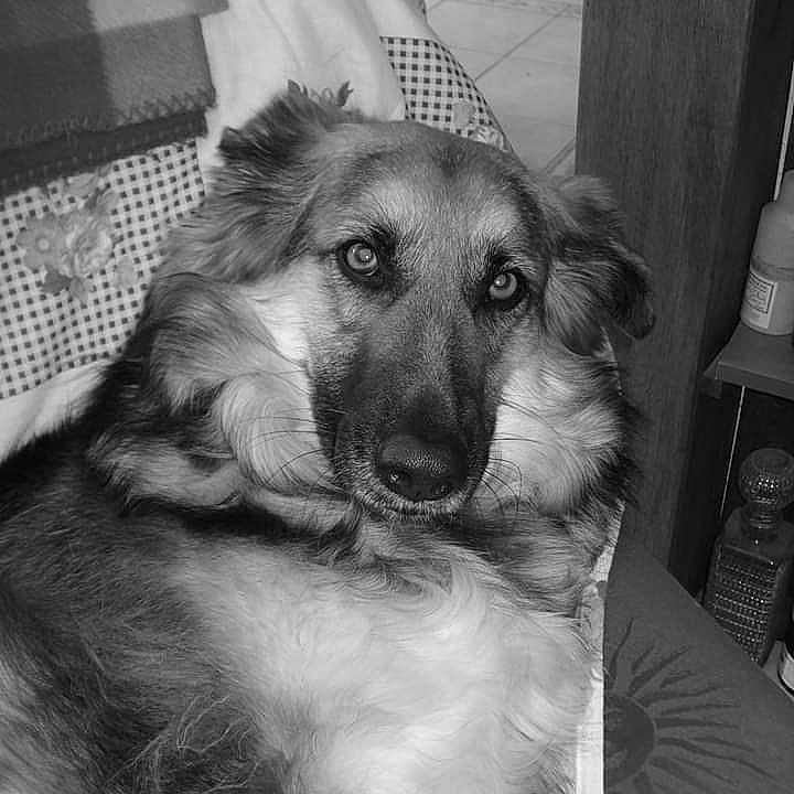 Sookie