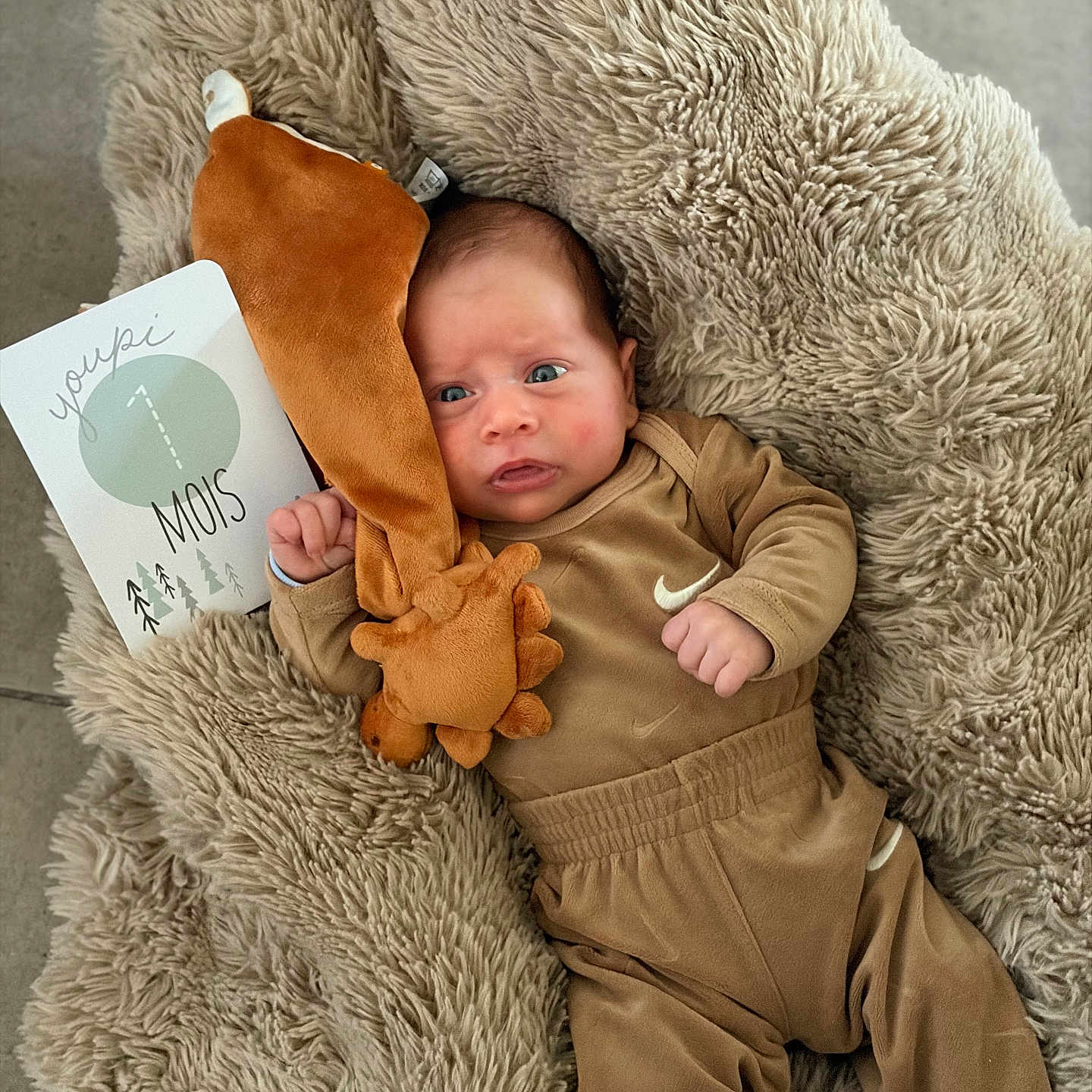 Marcelin a rejoint le concours — aidez-le/la à gagner de superbes lots ! baby, infant, plush_toy, blanket, milestone_card, brown_clothing, socks, cute, lying_down, face, expression, soft_texture, indoor, newborn, child, portrait, cozy, small_hands, fur_texture, floor