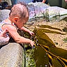 Katalina is registered to the contest to win money with this photo: toddler, child, water, seaweed, aquarium, curious, tattoo, hand, rock, people, indoor, exploration, nature, baby, person, focus, interaction, observation, family, leisure