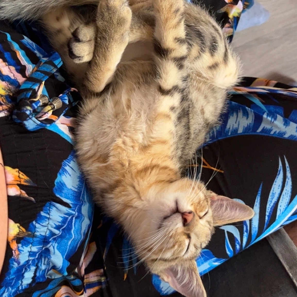 Léo