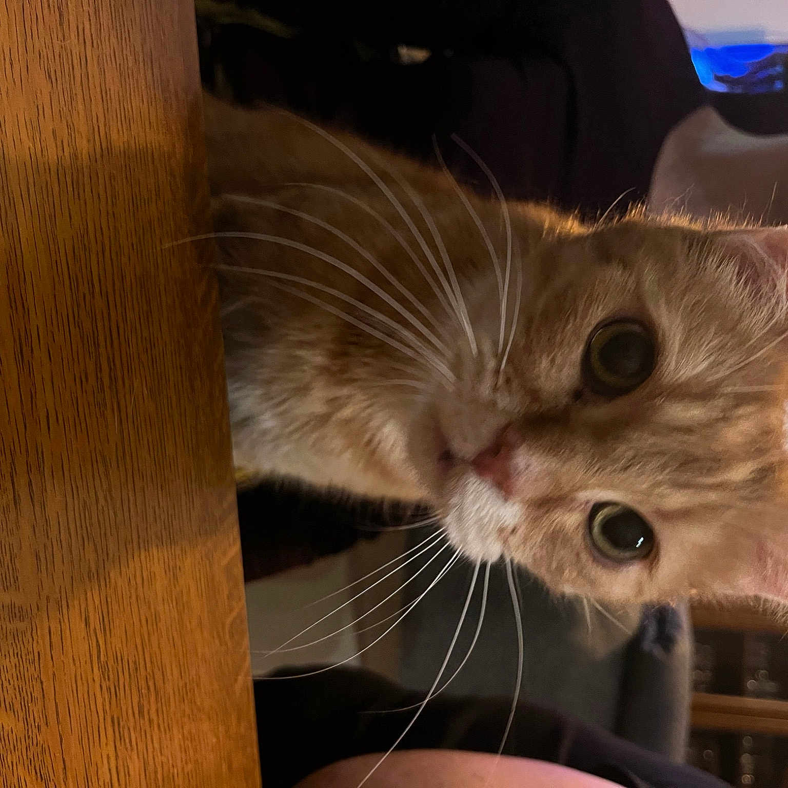 Caramel