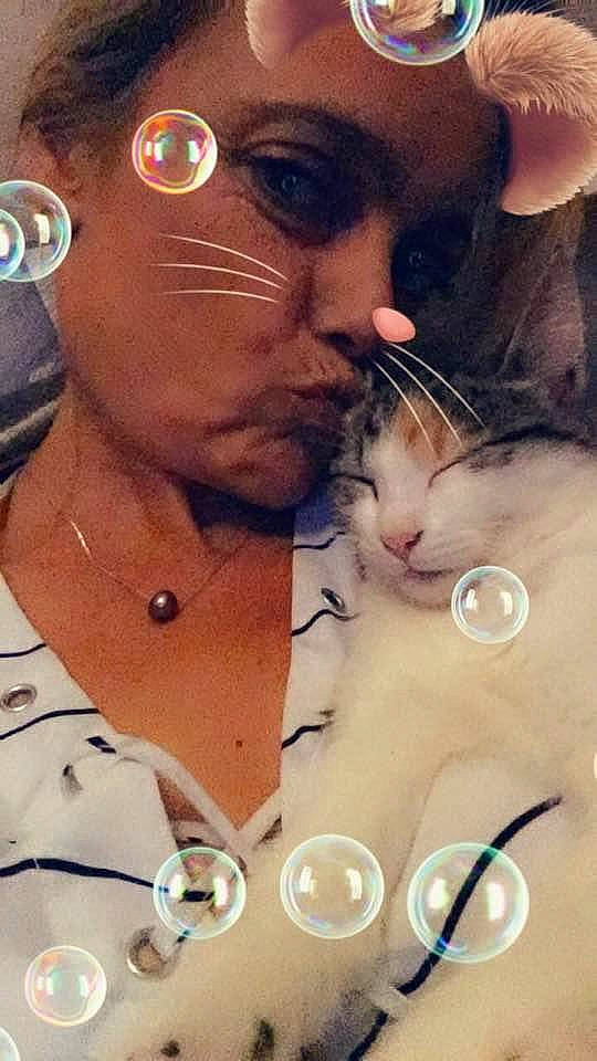 Harmonie participe au concours pour gagner de l'argent avec cette photo : art, cat, ear, eye, felidae, forehead, gesture, nose, photo_caption, photography, selfie, small_to_medium_sized_cats, whiskers