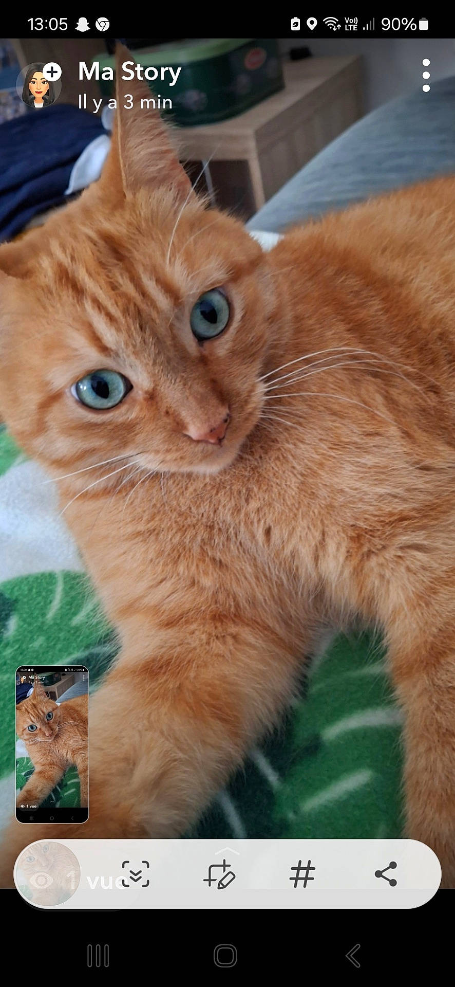 Nello participe au concours pour gagner de l'argent avec cette photo : abyssinian, animal, art, cat, collage, computer, computerhardware, doctor, electronics, hardware, kitten, manx, monitor, number, pc, person, pet, screen, symbol, text