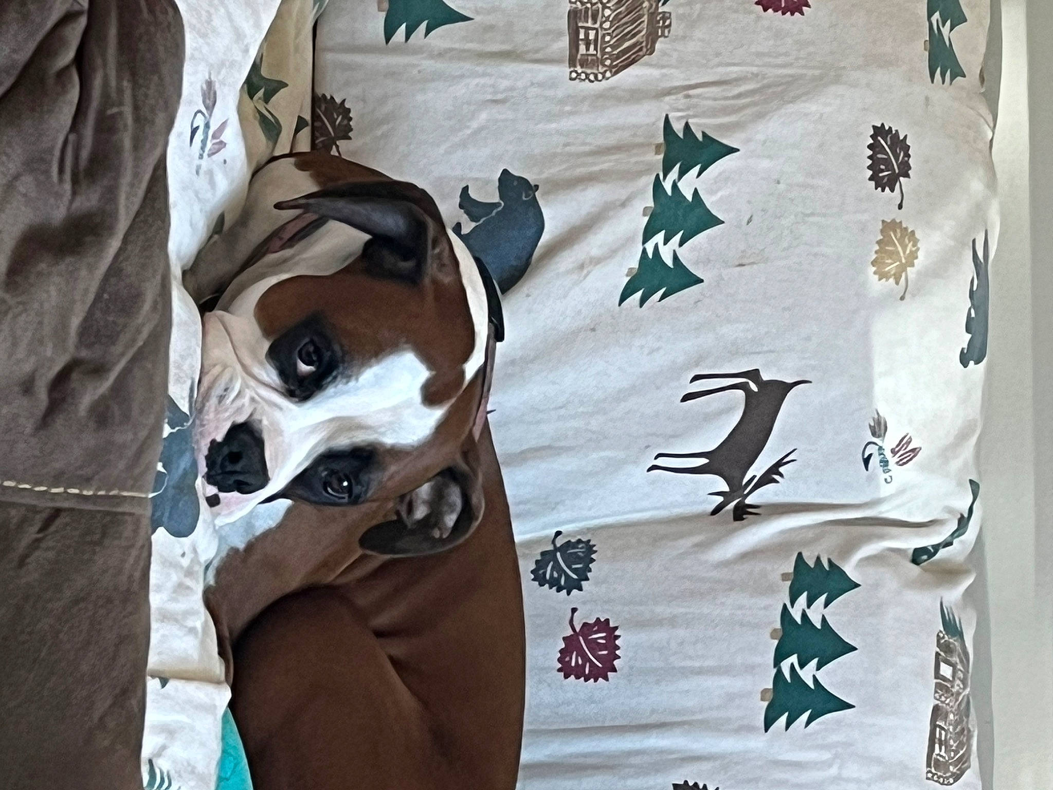 Hannah Jo Krauss joined the competition — help win amazing prizes! art, bedding, drawing, eyewear, flag, flag_of_the_united_states, font, graffiti, illustration, linens, mural, painting, pattern, rectangle, room, sleeve, t_shirt, textile, visual_arts, wood