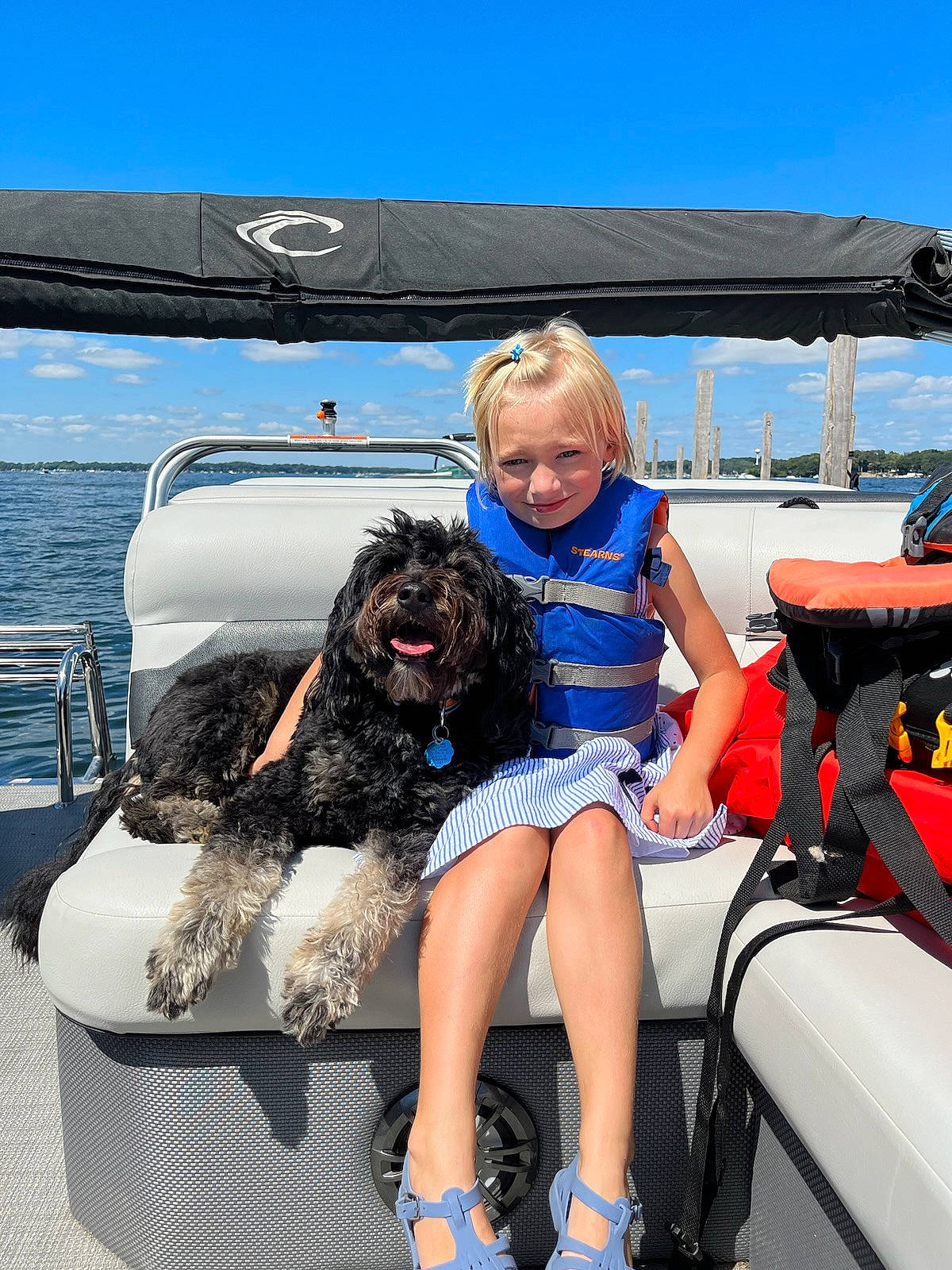 Cali is registered to the contest to win money with this photo: boat, boats_and_boating_equipment_and_supplies, carnivore, companion_dog, dog, dog_breed, electric_blue, fun, joy, leisure, person, personal_protective_equipment, recreation, sky, smile, thigh, toddler, toy_dog, travel, vehicle