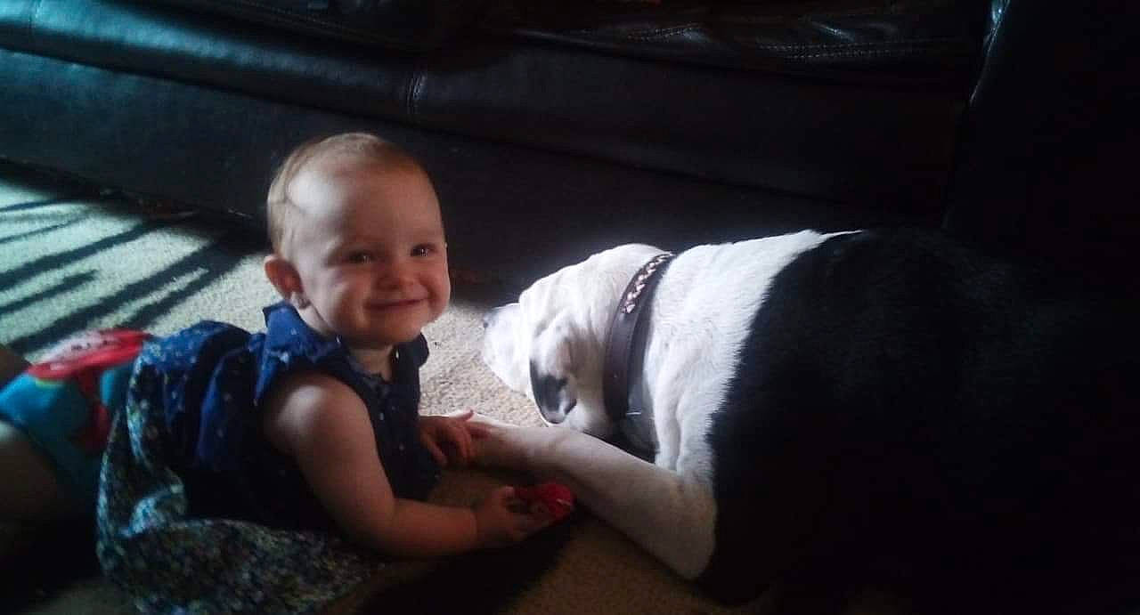 Everleigh-rose joined the competition — help win amazing prizes! baby, baby_toddler_clothing, canidae, carnivore, comfort, companion_dog, dog, dog_breed, human, joy, mammal, molosser, non_sporting_group, old_english_bulldog, person, puppy_love, skin, sporting_group, working_animal, working_dog