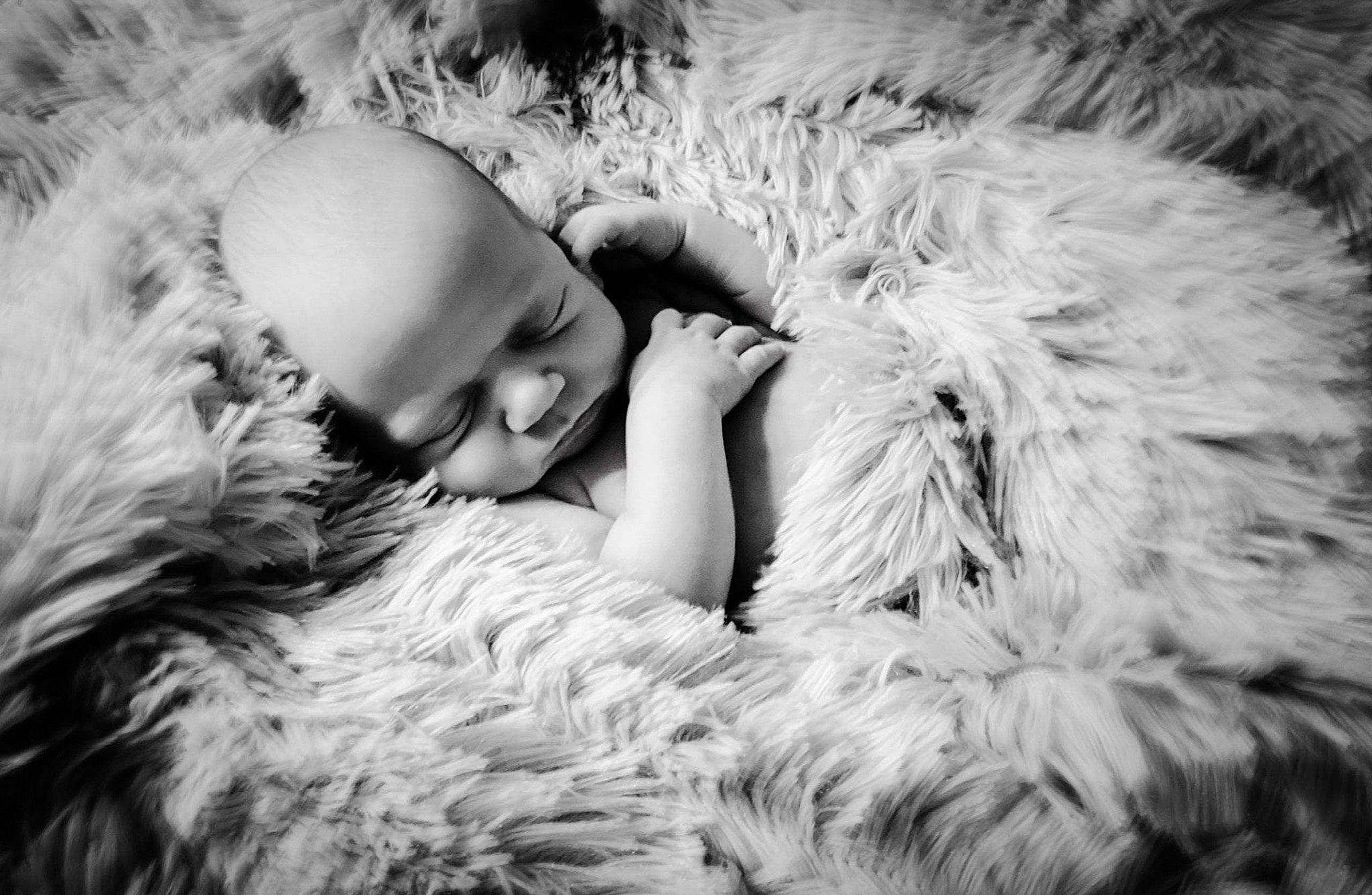 Jersey joined the competition — help win amazing prizes! baby, cap, carnivore, dog_breed, felidae, flash_photography, freezing, fur_clothing, gesture, grass, happy, headgear, mammal, monochrome, monochrome_photography, person, stuffed_toy, style, textile, toy