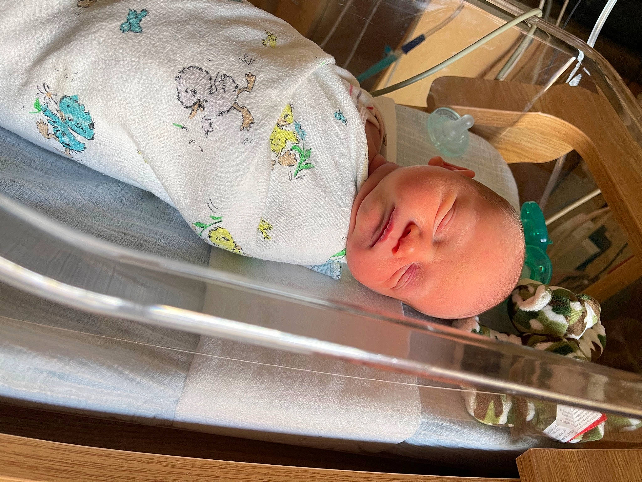 Jersey joined the competition — help win amazing prizes! automotive_exterior, automotive_lighting, automotive_window_part, baby, baby_carriage, baby_products, baby_safety, bumper, child, comfort, fashion_accessory, glass, hat, pattern, person, product, room, toddler, vehicle_door, windshield