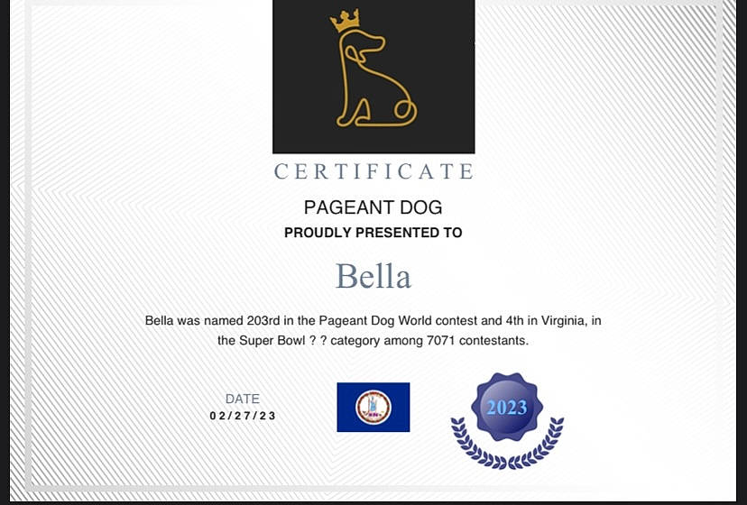 Bella joined the competition — help win amazing prizes! advertising, brand, circle, electric_blue, font, graphic_design, graphics, label, logo, multimedia, rectangle, screenshot