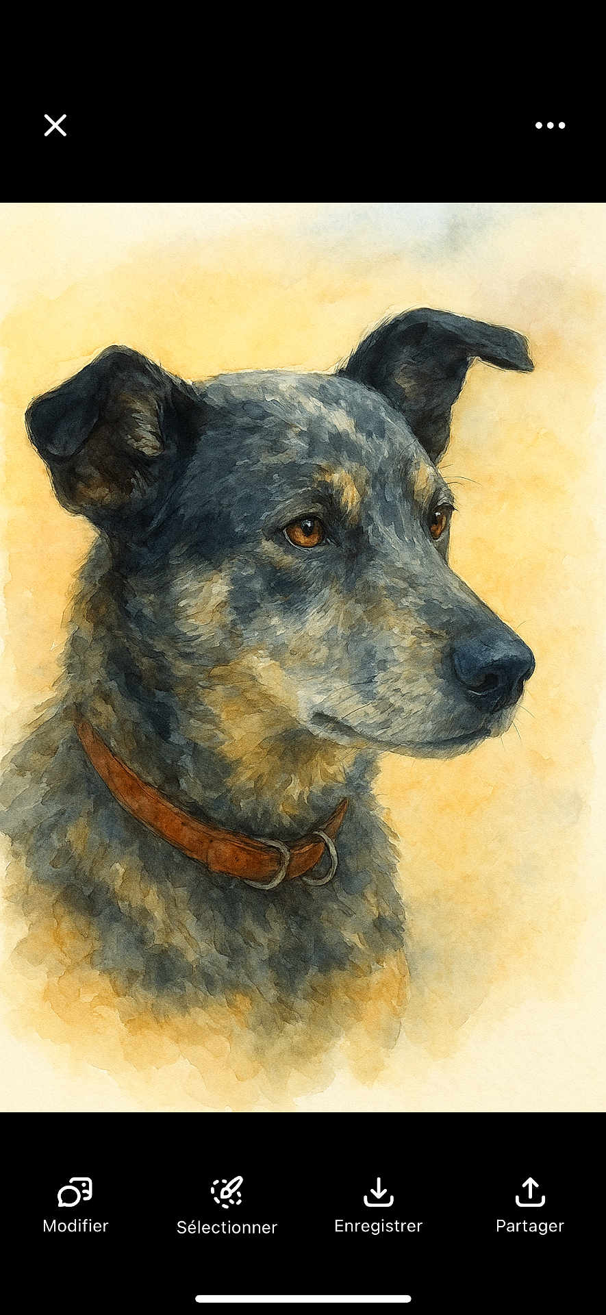 Ptitloup participe au concours pour gagner de l'argent avec cette photo : dog, painting, watercolor, portrait, animal, collar, brown, fur, ears, face, profile, art, illustration, background, yellow, expression, pet, canine, closeup, texture