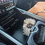 Sully joined the competition — help win amazing prizes! puppy, dog, fluffy, car_interior, console, cup_holder, person_leg, dashboard, technology, phone, seat, small_dog, pet, companion, cute, travel, car, cozy, black, gray