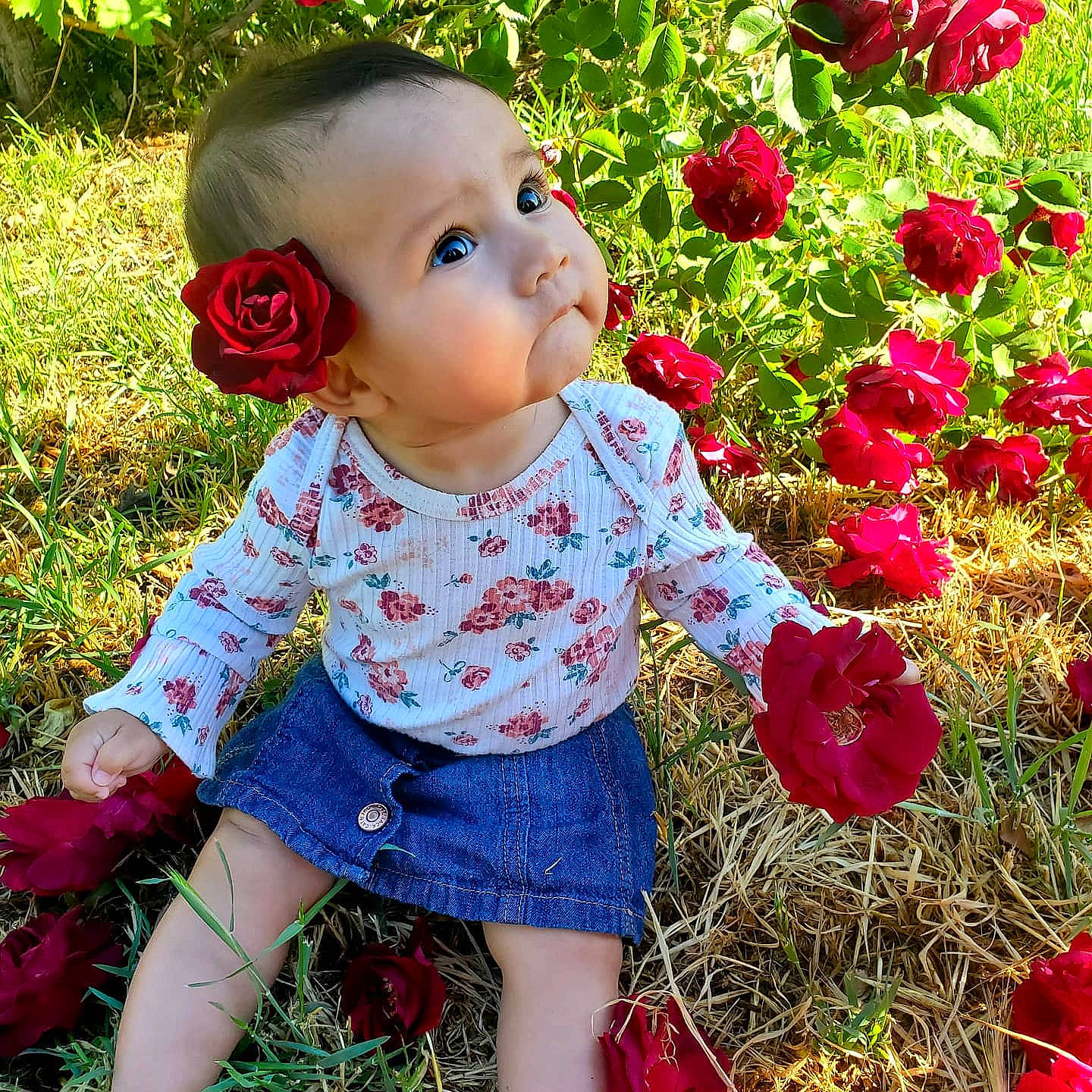 Naya is registered to the contest to win money with this photo: baby, baby_toddler_clothing, botany, child, eye, flower, grass, green, happy, iris, leaf, people_in_nature, person, petal, photograph, pink, plant, red, skin, summer