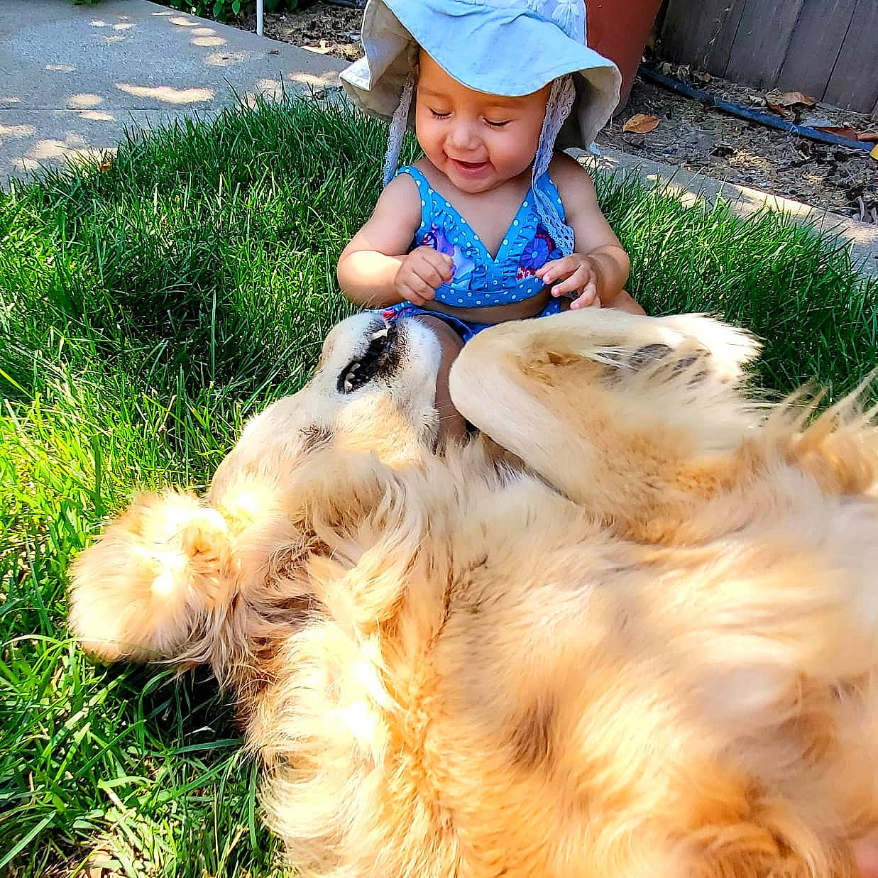 Naya joined the competition — help win amazing prizes! baby_toddler_clothing, cap, companion_dog, dog_breed, face, fawn, felidae, fur, grass, grassland, happy, hat, headwear, landscape, mammal, people_in_nature, person, plant, terrestrial_animal, toddler
