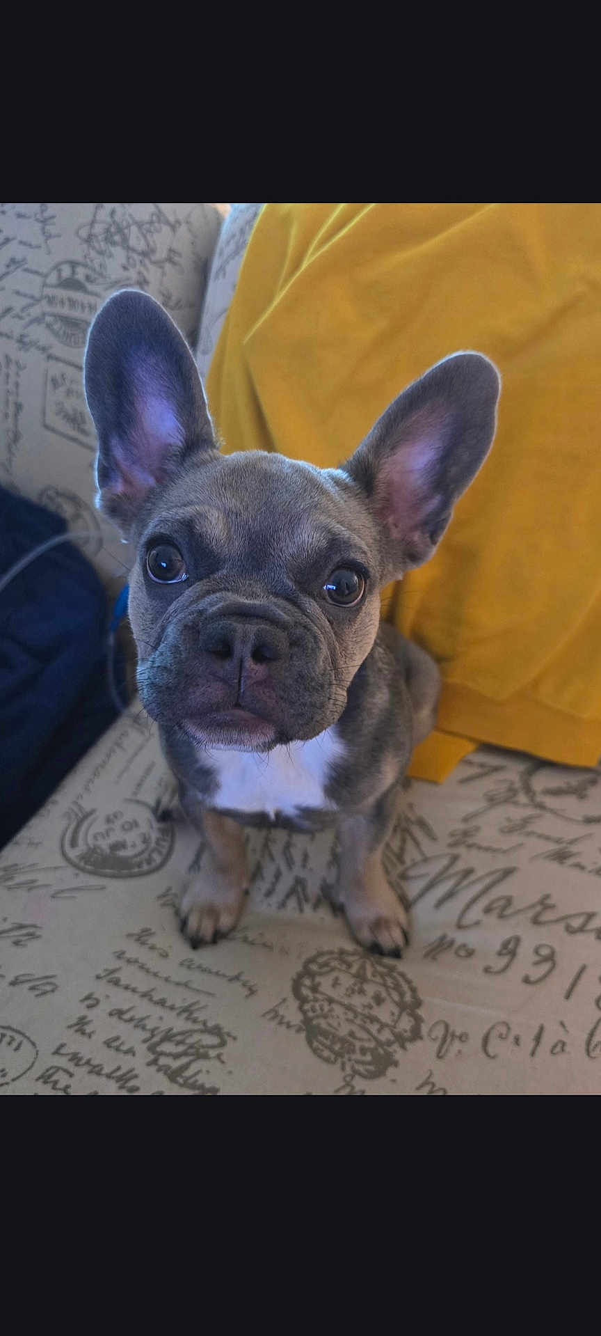 Yoda