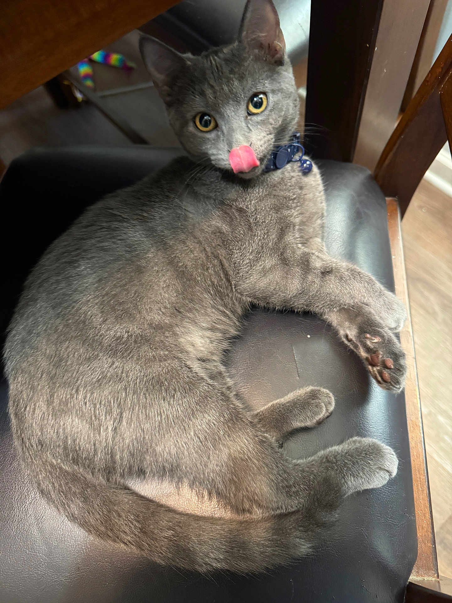 Salem
