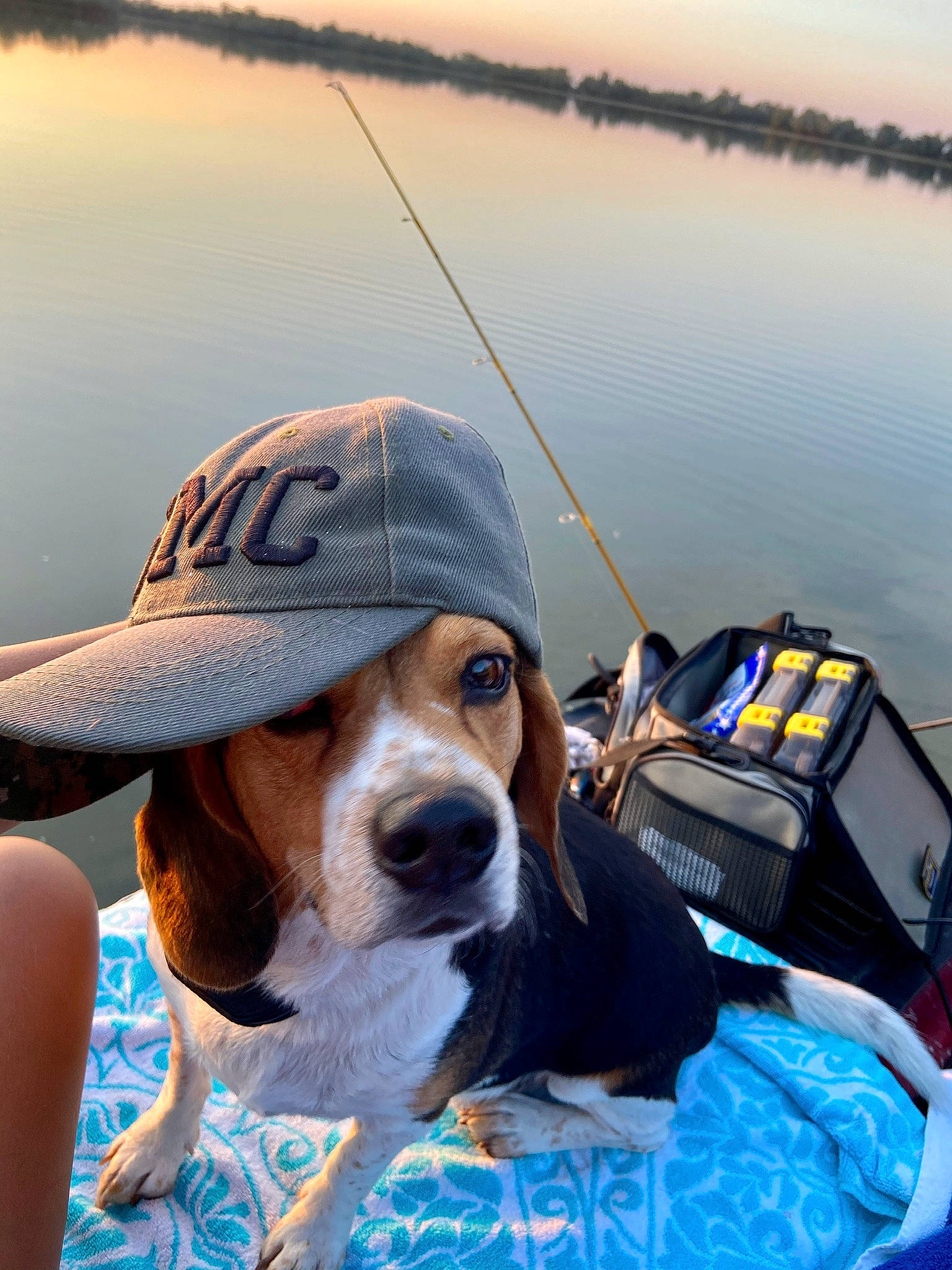 Bell joined the competition — help win amazing prizes! baseball_cap, cap, carnivore, companion_dog, dog, dog_breed, eyewear, fisherman, fun, grass, hat, lake, leisure, outdoor_recreation, recreation, sky, sun_hat, sunglasses, travel, water
