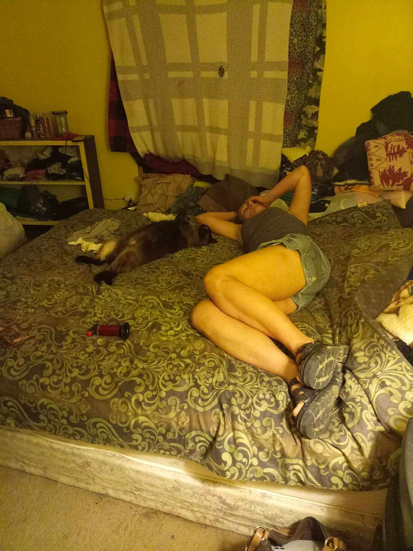 Bubby joined the competition — help win amazing prizes! bedroom, person, dog, bed, blanket, clothing, carpet, curtain, pillow, shelf, relaxed, lying_down, casual, indoor, messy, footwear, furniture, home, resting, warm_lighting