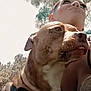 Bubbas is registered to the contest to win money with this photo: dog, person, outdoor, selfie, pet, animal, nature, tree, sky, closeup, face, portrait, canine, cute, human, head, looking, daylight, expression, affection