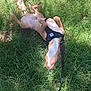dog, grass, outdoor, leash, harness, sunlight, playful, relaxed, pet, canine, nature, greenery, animal, summer, happy, resting, lying_down, sunny, daytime, backyard