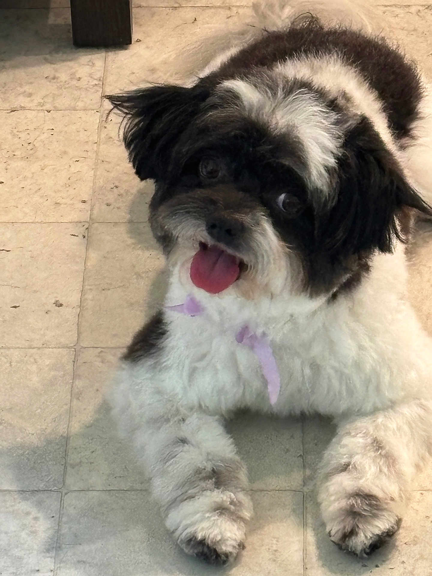 Oreo
