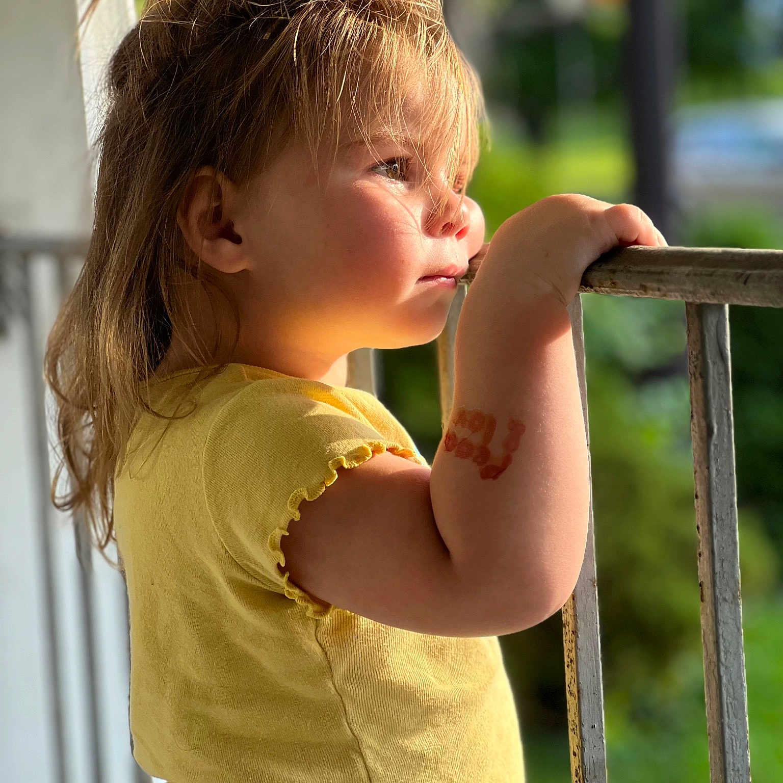 Stormi