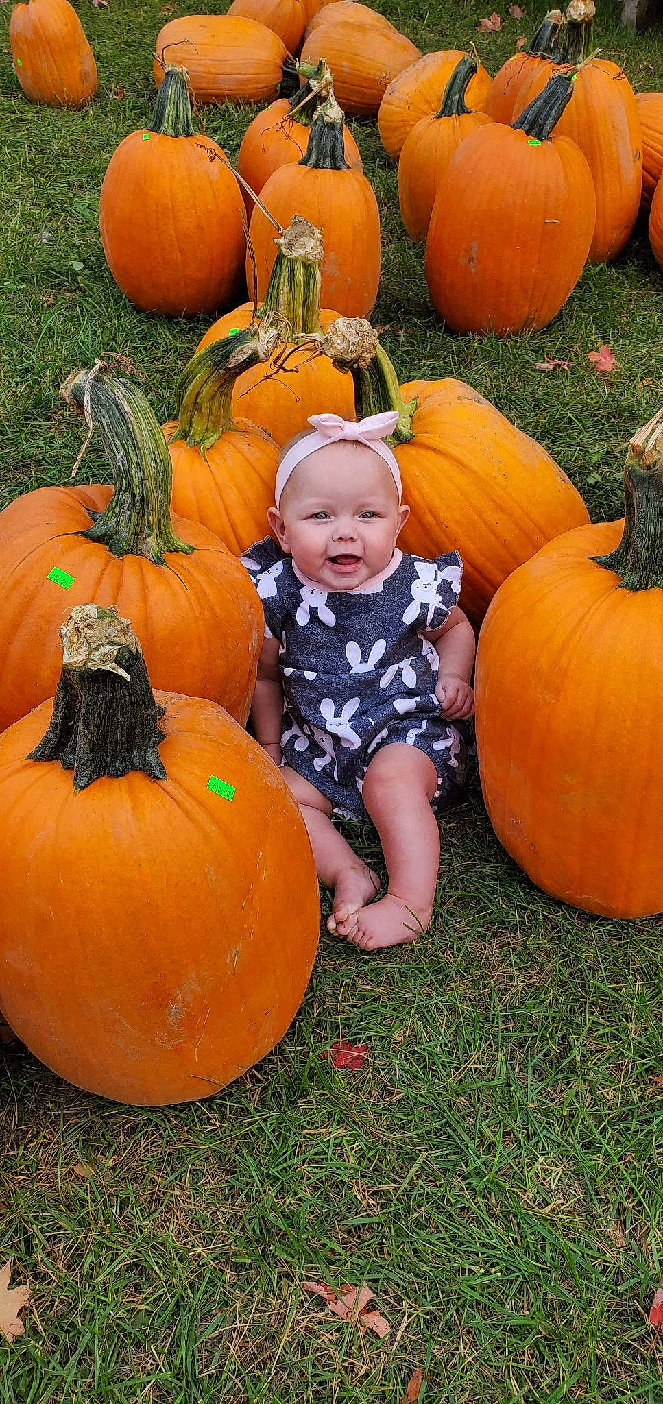 Novalee joined the competition — help win amazing prizes! calabaza, cucurbita, gourd, grass, happy, leaf, local_food, natural_foods, orange, people_in_nature, person, photograph, plant, produce, pumpkin, sitting, squash, toddler, vegetable, whole_food