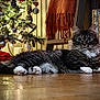 cat, tabby, white_paws, floor, wooden_floor, christmas_tree, ornaments, pine_cones, lights, blanket, knitted_blanket, chair, candle_holders, decor, holiday, indoor, cozy, pet, feline, relaxed