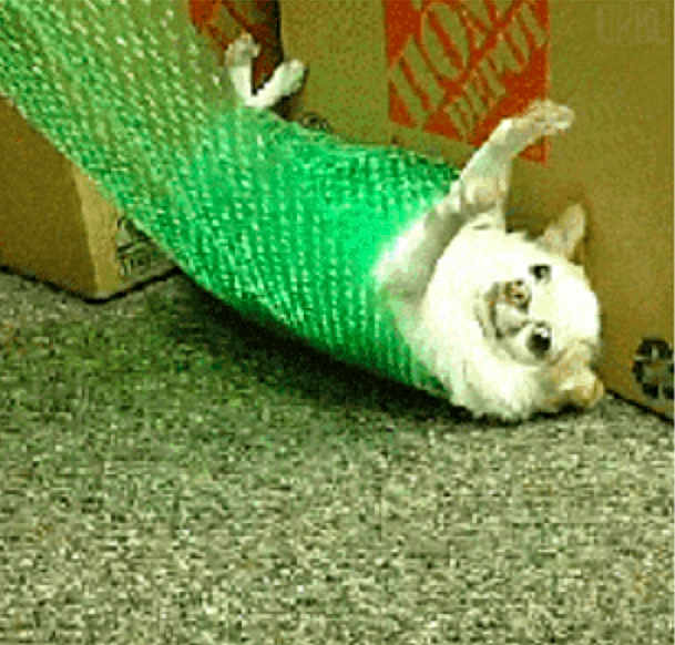 Bubble Wrap Dude
