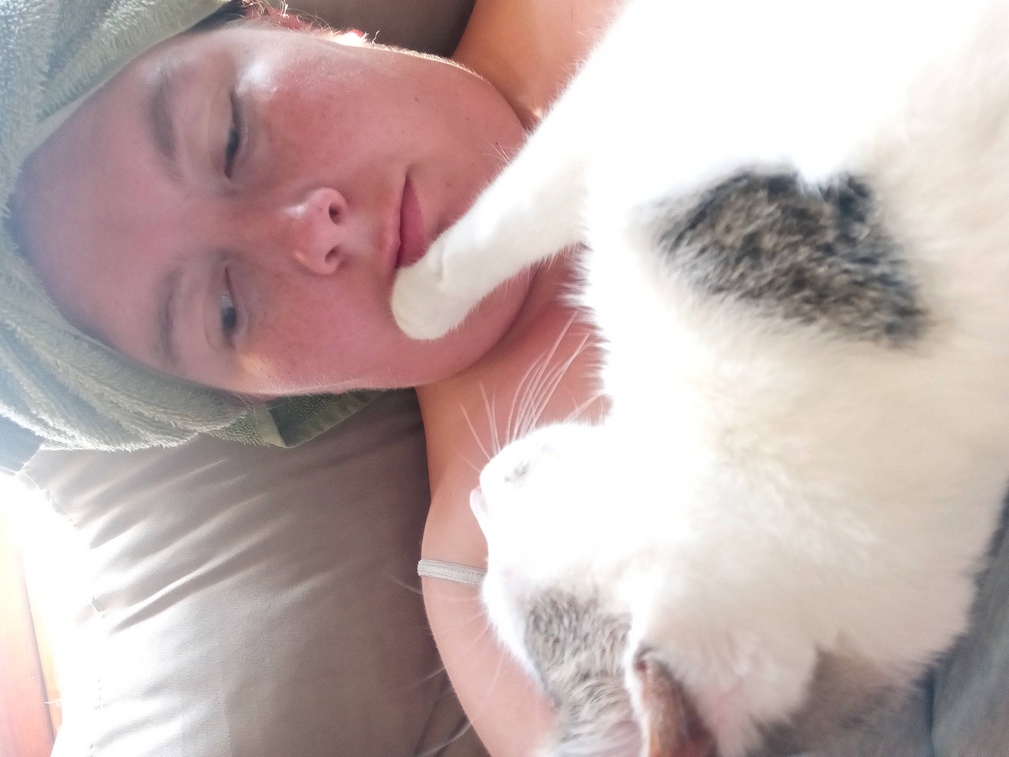 Ezra is registered to the contest to win money with this photo: carnivore, cat, comfort, companion_dog, dog_breed, domestic_short_haired_cat, ear, eye, eyelash, felidae, fur, gesture, happy, lip, nose, plant, skin, small_to_medium_sized_cats, tail, whiskers