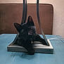 black_cat, cat, lamp_base, metal, table, blue_table, brown_couch, indoor, pet, animal, curious, collar, bell, whiskers, face, ears, paws, furniture, relaxing, cozy