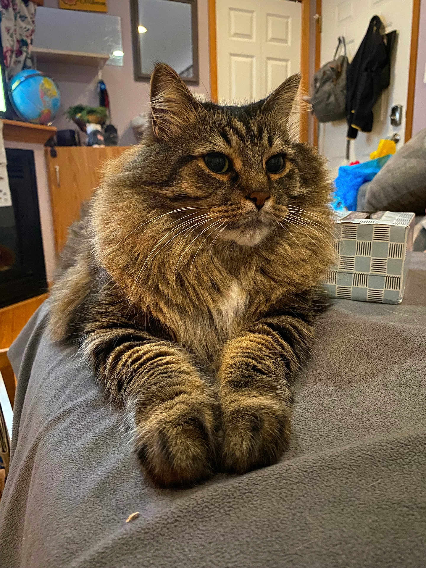 Loki