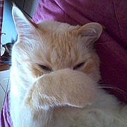 Langlois a rejoint le concours — aidez-le/la à gagner de superbes lots !