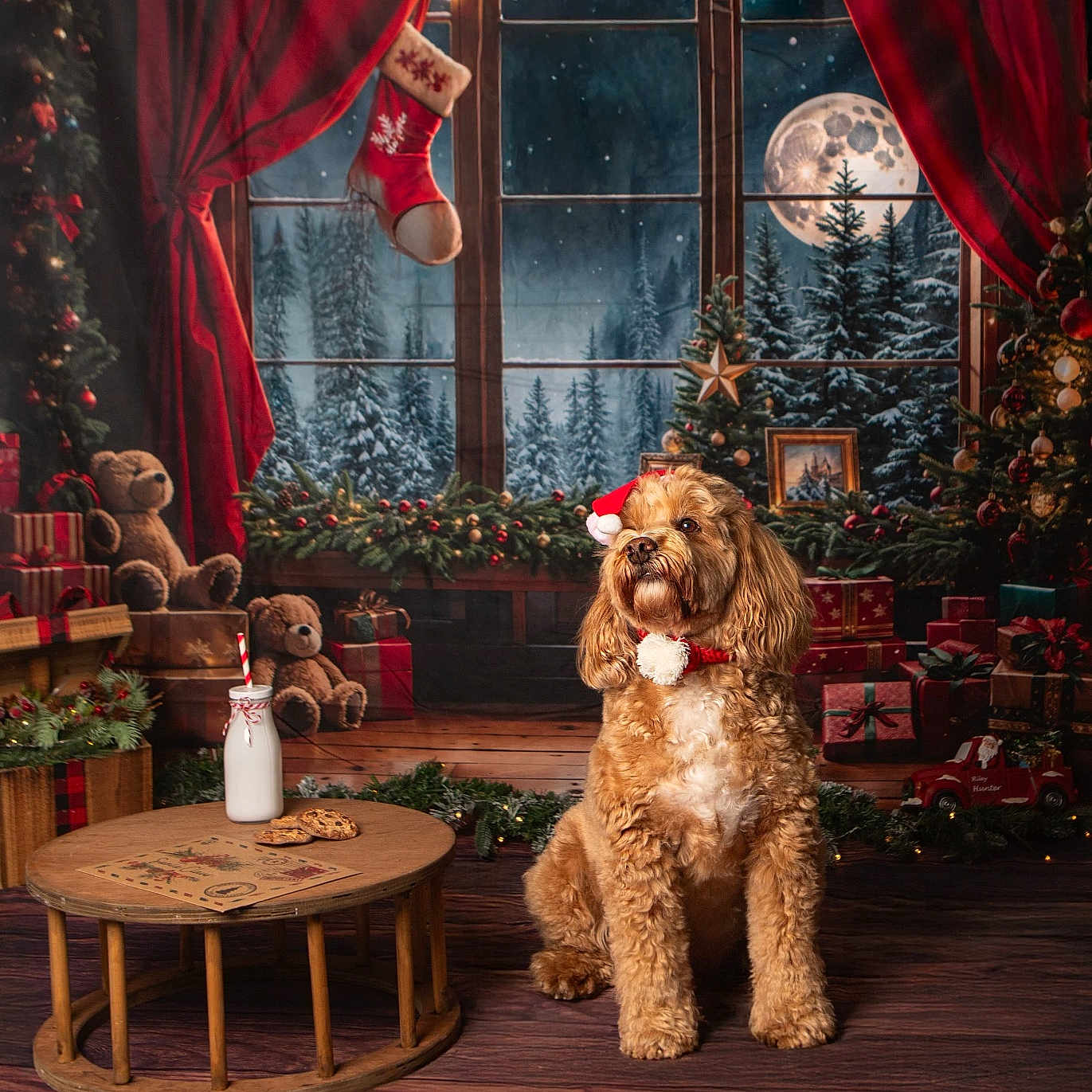 Bailey joined the competition — help win amazing prizes! christmas, cookies, curtains, decorations, dog, festive, garland, holiday, indoors, milk, moon, pet, presents, santa_hat, snow, stocking, table, teddy_bear, window, wooden_floor