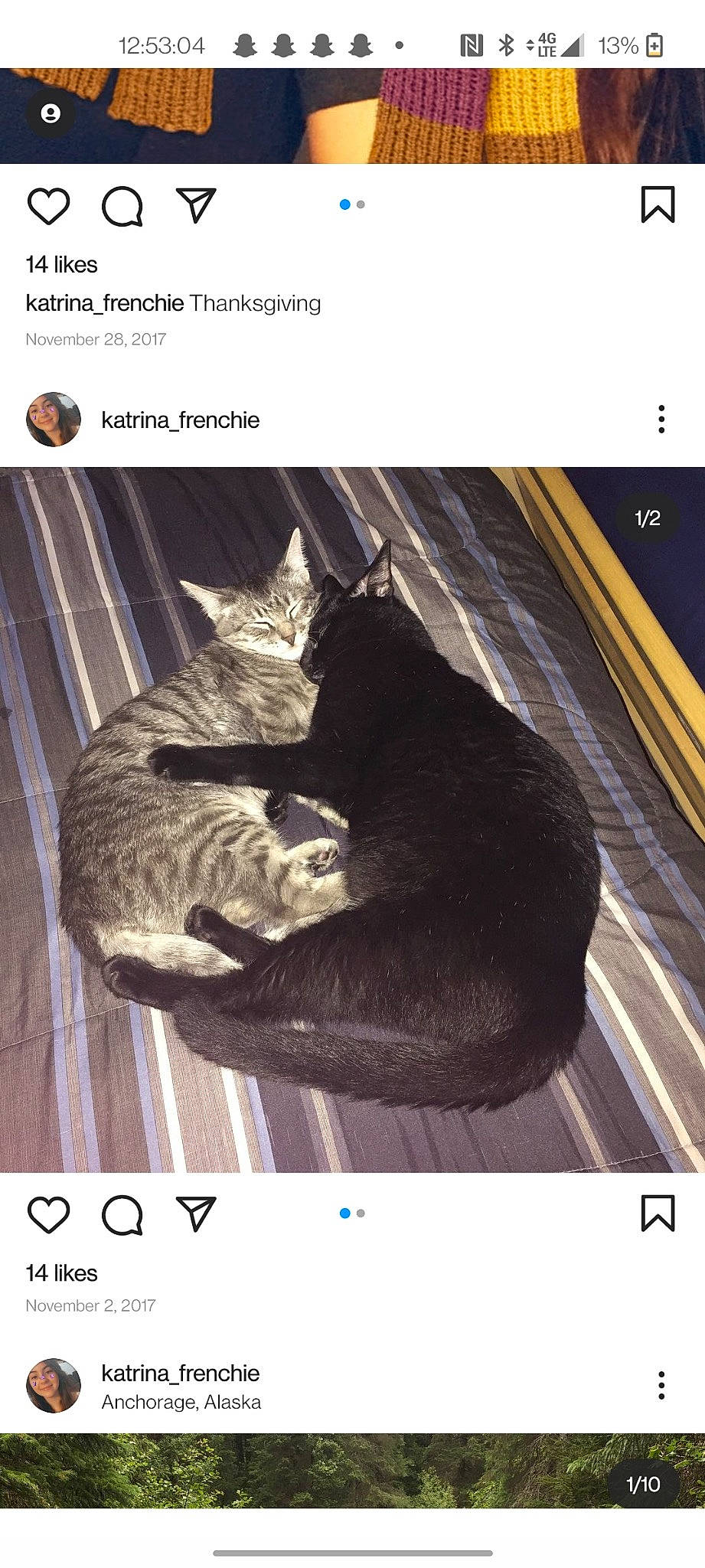 Felix joined the competition — help win amazing prizes! black_cat, carnivore, cat, comfort, felidae, font, fur, photo_caption, rectangle, screenshot, small_to_medium_sized_cats, square, tail, whiskers