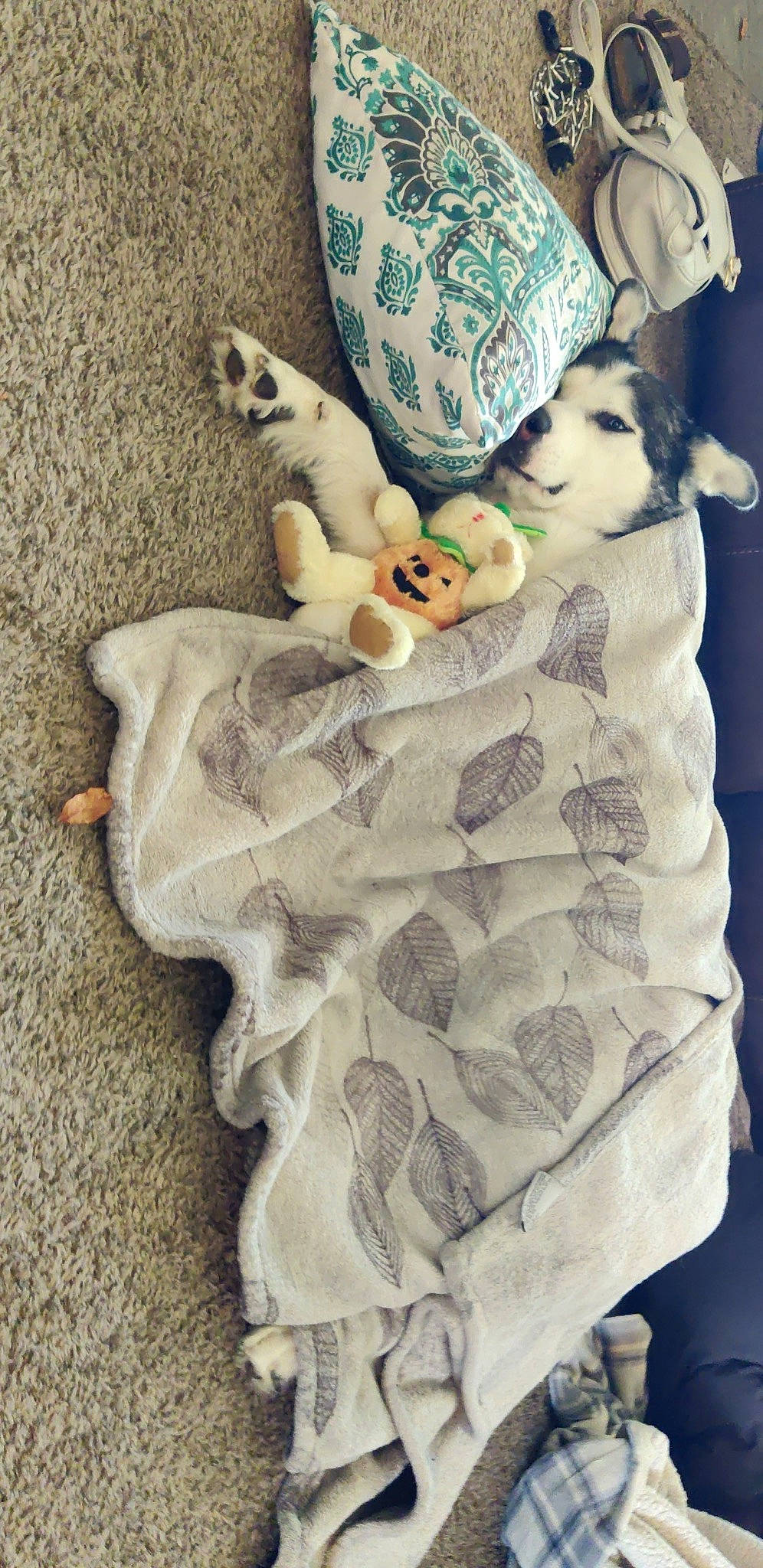 Dunkin joined the competition — help win amazing prizes! art, baby, baby_products, baby_toddler_clothing, baby_toys, bedding, child, comfort, doll, fur, linens, pattern, plush, room, sitting, stuffed_toy, teddy_bear, toddler, toy, visual_arts