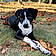 Winston Oreo