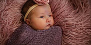 Raylynn is registered to the contest to win money with this photo: newborn, baby, infant, wrapped, blanket, purple, pink, headband, flower, soft, fluffy, portrait, closeup, cute, sleepy, resting, skin, face, child, cozy