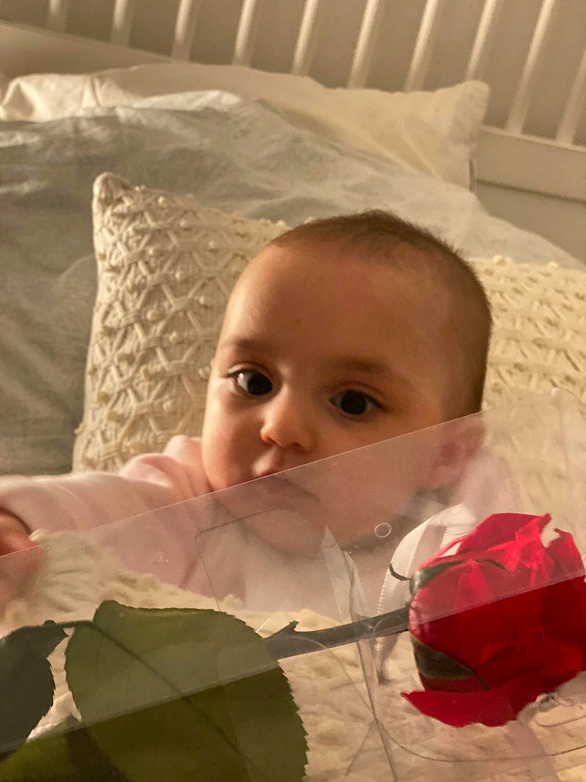 Aya a rejoint le concours — aidez-le/la à gagner de superbes lots ! baby, baby_products, bedding, carmine, child, comfort, eyelash, fashion_accessory, happy, head, linens, lip, mouth, person, petal, pillow, room, textile, throw_pillow, toddler