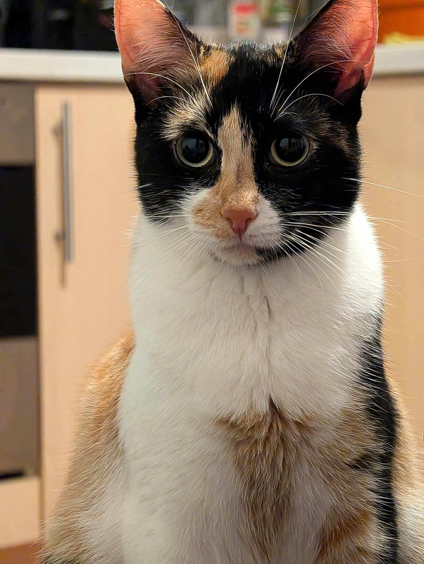 Athena