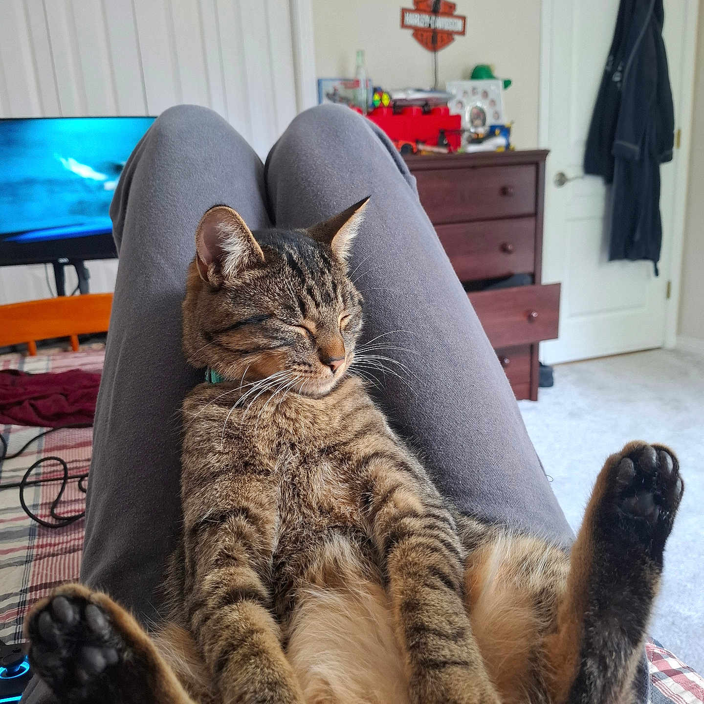 Milo